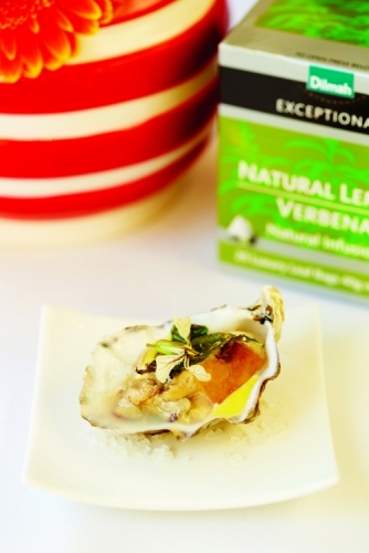 LEMON VERBENA OYSTER ESCABECHE LEMON VERBENA INFUSED OYSTER ESCABECHE, SAFFRON EMULSION & LEMON VERBENA JELLY LEMON VERBENA OYSTER ESCABECHE LEMON VERBENA INFUSED OYSTER ESCABECHE, SAFFRON EMULSION & LEMON VERBENA JELLY