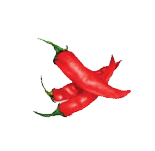 Chilli