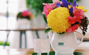 Taste of Auckland 2015