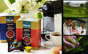 Best Thing Since Teabags!