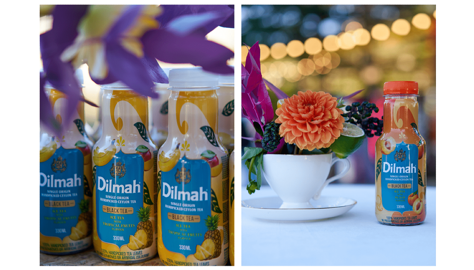 Dilmah Iced Tea is Now Available in...