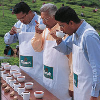 The Aroma of Ceylon Tea