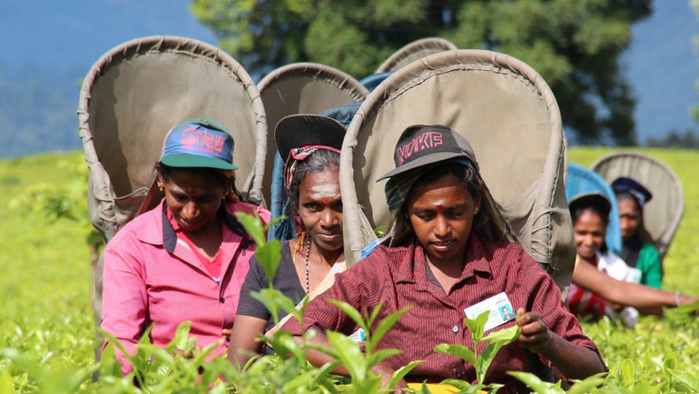 Sri Lanka catches the low carbon development...