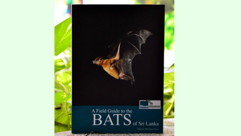 Going bats over bats