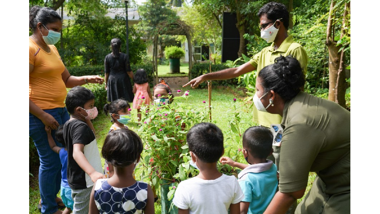 Sri Lanka's butterfly garden enlightens next generation to protect home planet