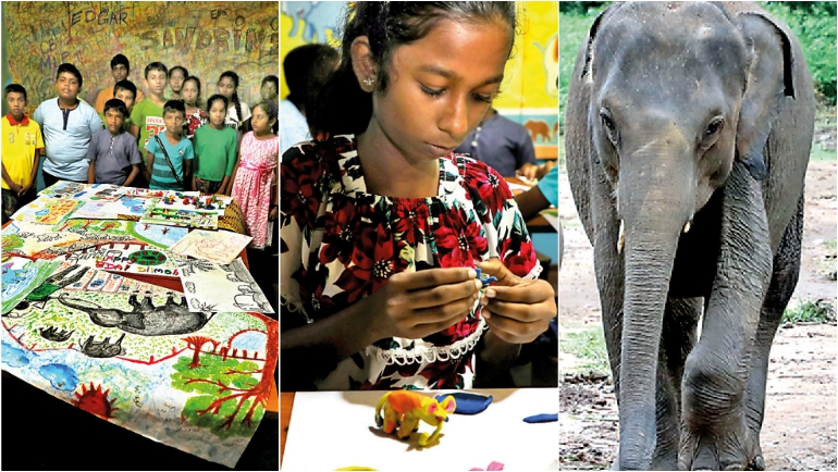 Baby Dilmah Turns Two