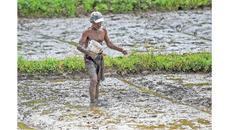 President’s green agriculture campaign co-opts private sector