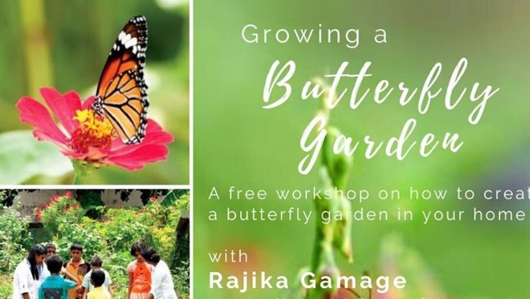 Dilmah Conservation will host a free workshop on the 14th of December 2019. Dilmah Conservation will host a free workshop on the 14th of December 2019.