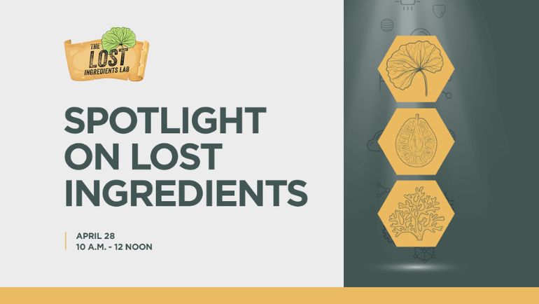 We are celebrating the Lost Ingredients Lab journey!