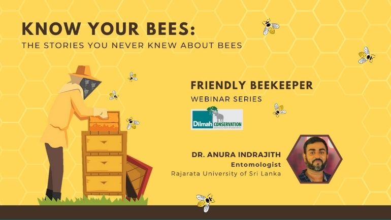 Stories you Never Knew About Bees