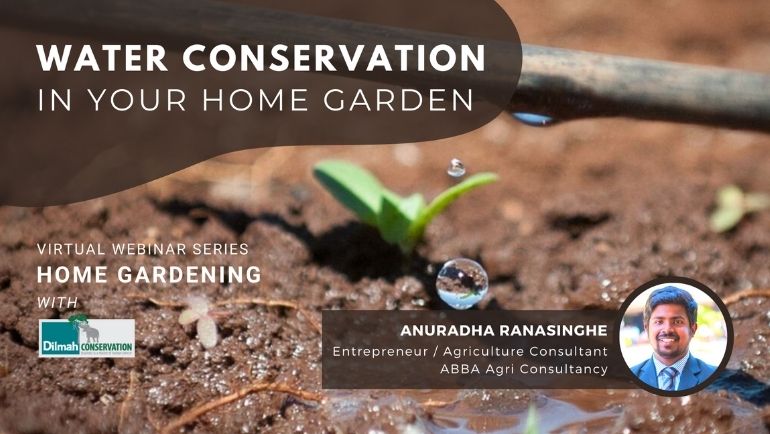 Water Conservation in your Home Garden| Dilmah PRESSROOM