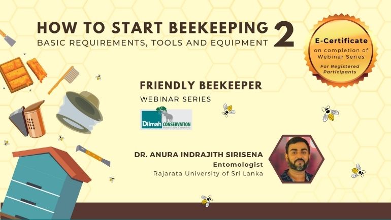 How to Start Beekeeping II