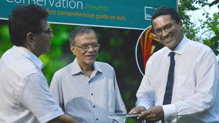 Dilmah Conservation Guides you towards Protecting Bats