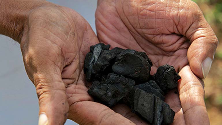 Bioremediation through the use of Biochar