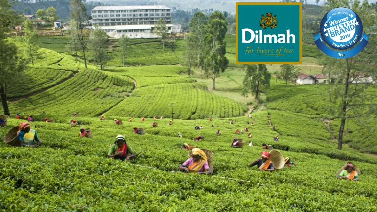 Dilmah is voted by New Zealand as...