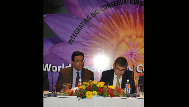 Streamlining Biodiversity in Business