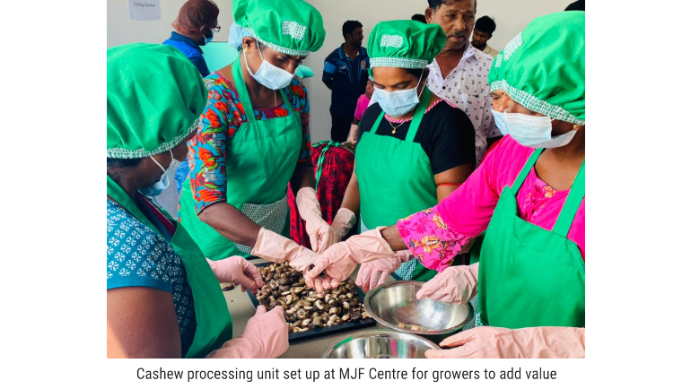 Dilmah’s MJF Centre East Opens Cashew Processing Centre for Smallholders