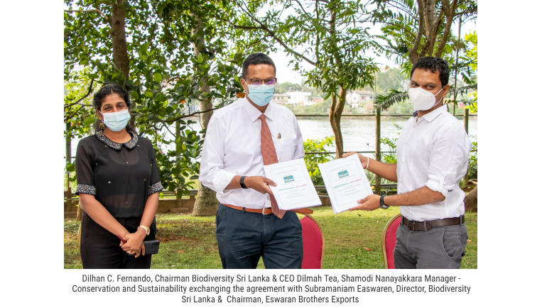 Biodiversity Sri Lanka led Collaboration to Restore Mangroves