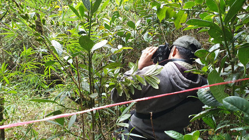 Rainforest Protection in a Changing Climate