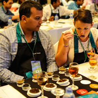 The 35th Dilmah School of Tea