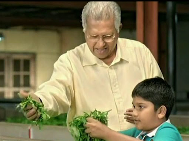 A Tea Grower In Training Since 4 Years Old –...