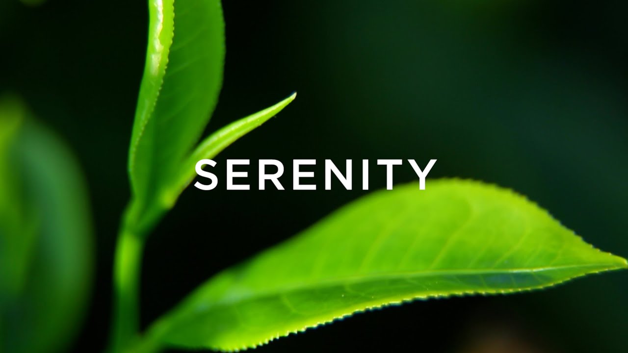 Listen to how your tea is made with this soundscape:...