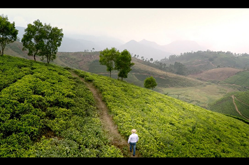 What is Merrill J. Fernando’s favourite tea?