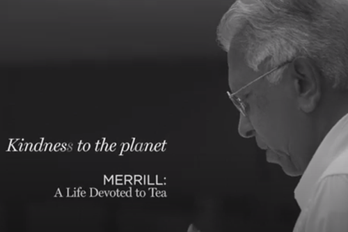 Merrill : A Life Devoted to Tea- Kindness to the...