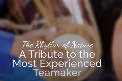 The Rhythm of Nature – A Tribute to the Most...
