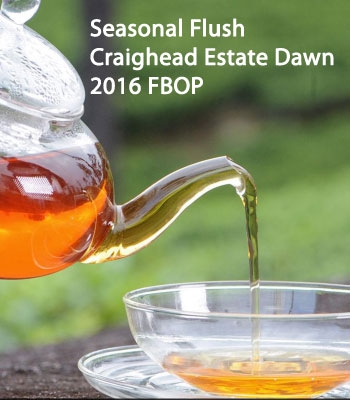 Seasonal Flush 2016 Craighead Estate Dawn