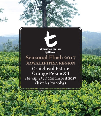 Seasonal Flush 2017 Nawalapitiya Region Craighead Estate Orange Pekoe XS