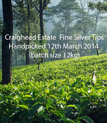 Seasonal Flush 2014 Craighead Estate Fine Silver Tips