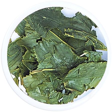 Sencha Green Extra Special