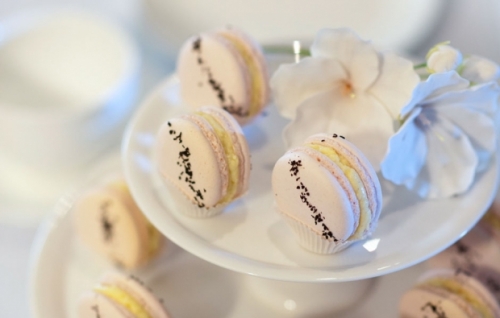 Rose with French Vanilla macarons