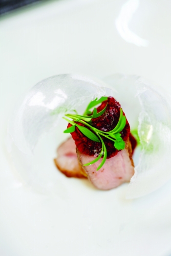 CEYLON CINNAMON SPICED TEA SMOKED DUCK BREAST WITH JAVANESE LONG PEPPER AND BEETROOT CRISP
