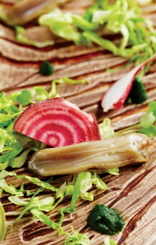 DUCK TONGUE, WITH BABY LETTUCE, SPROUTS AND PINE NEEDLE GEL